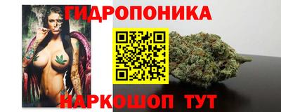 Альфа ПВП Владикавказ