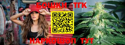 Альфа ПВП Владикавказ