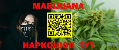 Альфа ПВП Владикавказ