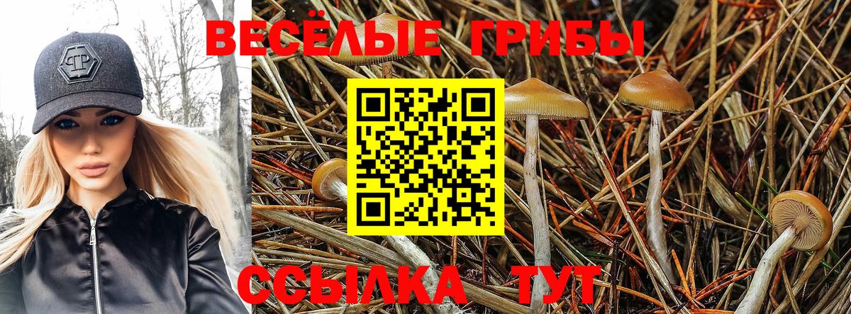 Псилоцибиновые грибы прущие грибы Лениногорск
